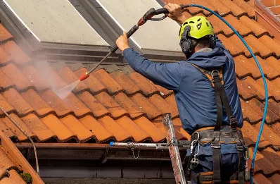 Démoussage et hydrofuge de toiture à Monlet